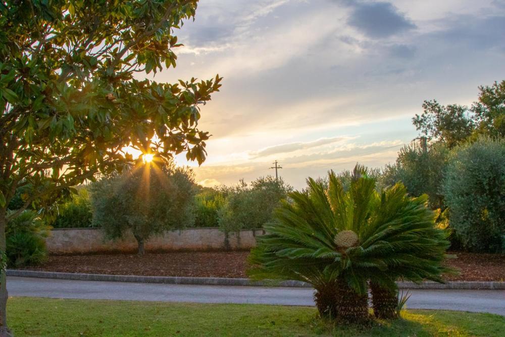 La Volpina Bed and Breakfast Martina Franca Buitenkant foto