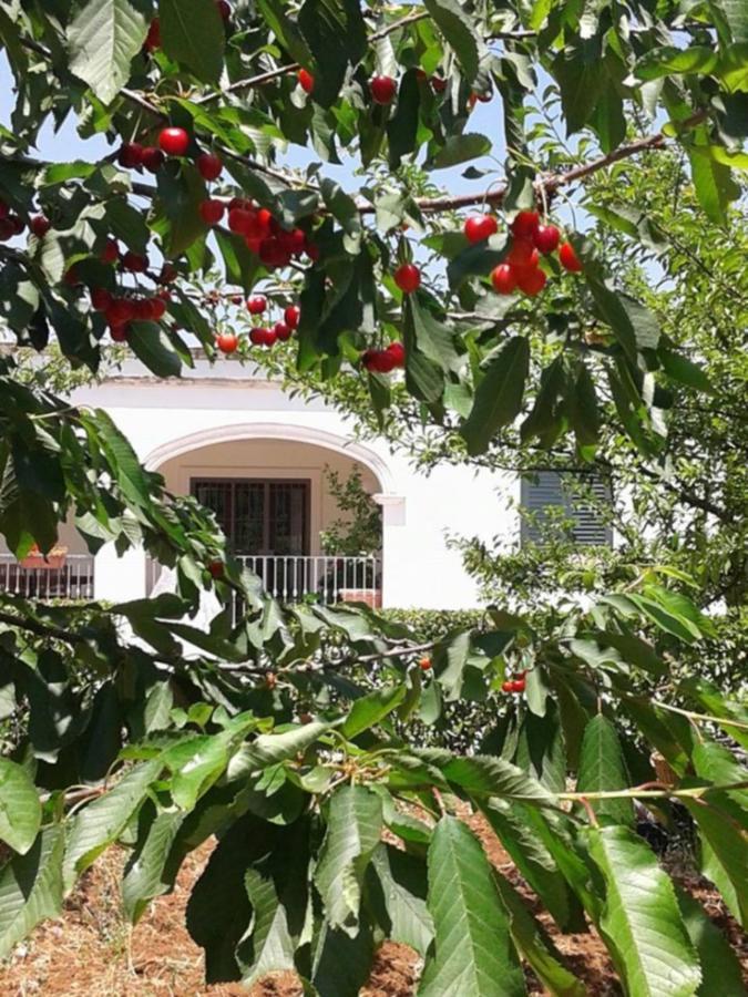 La Volpina Bed and Breakfast Martina Franca Buitenkant foto